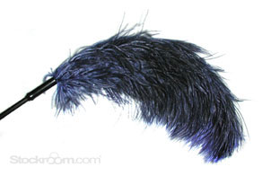 Ostrich Feather Tickler