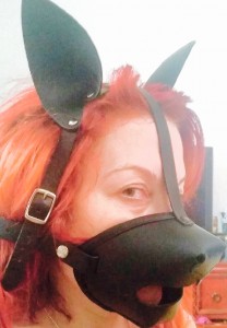 Hudsy Hawn shows off our K9 Muzzle with Removable Silicone Ball Gag